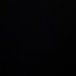 Meet your Posher, Sammy